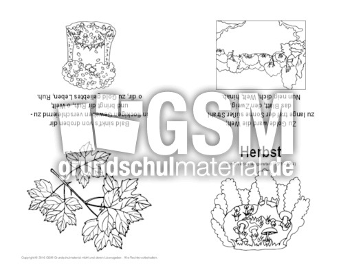 Faltbuch-vierseitig-Herbst-Morgenstern-SW.pdf